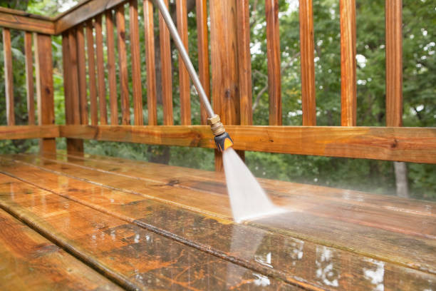 Best Dumpster Area Cleaning  in Bayport, MN